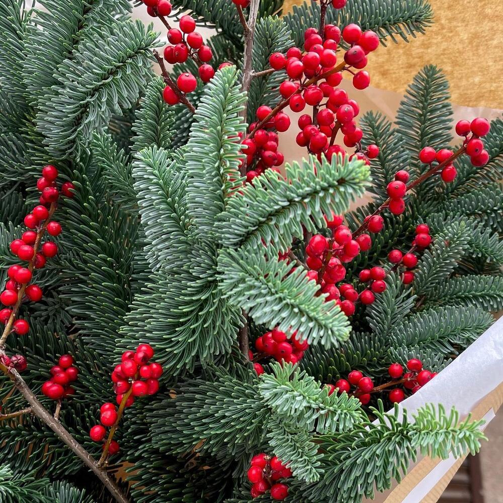 Buchet Brad de Iarnă